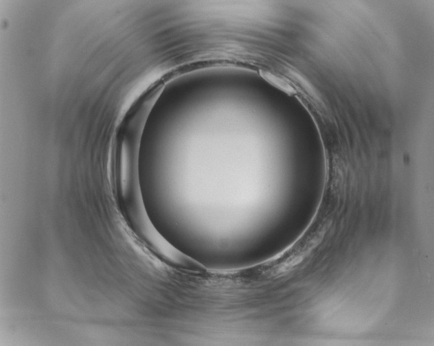X0000089870788200706281315