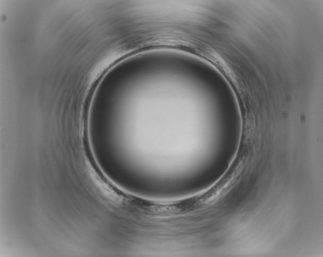 X0000089870795200706281315