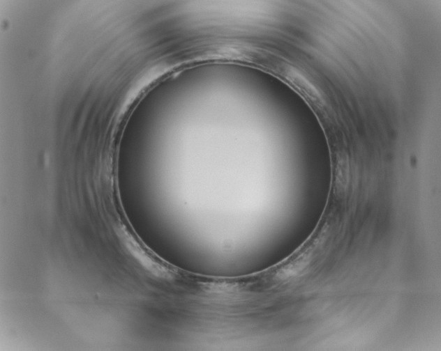 X0000089870800200706281314