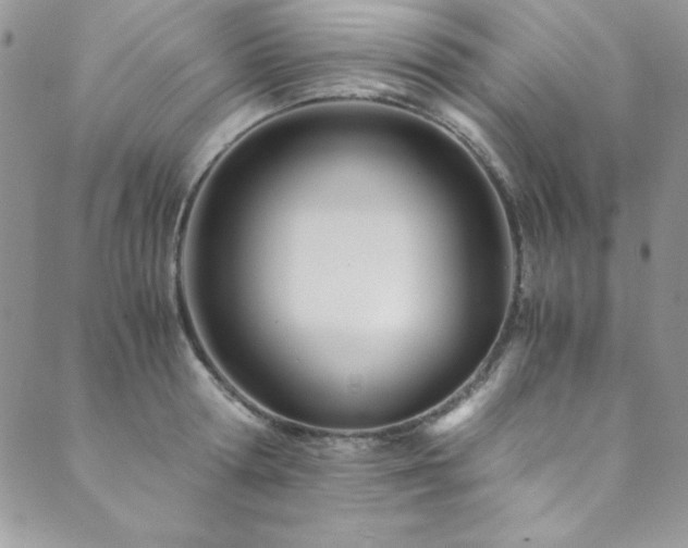 X0000089870802200706281314