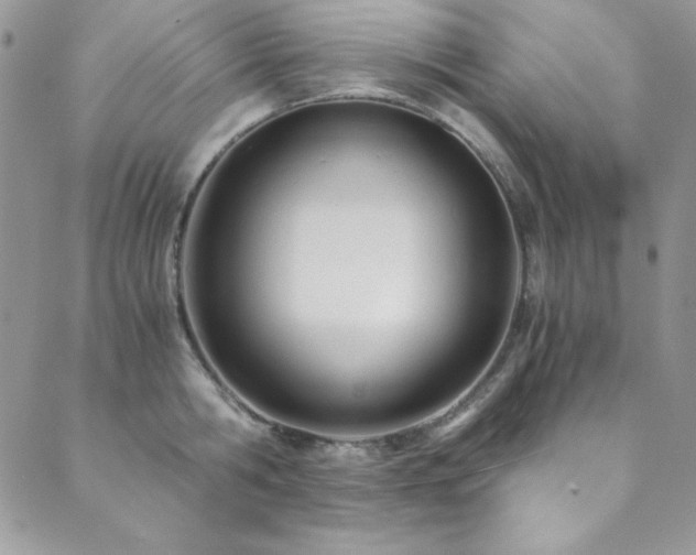 X0000089870806200706281314