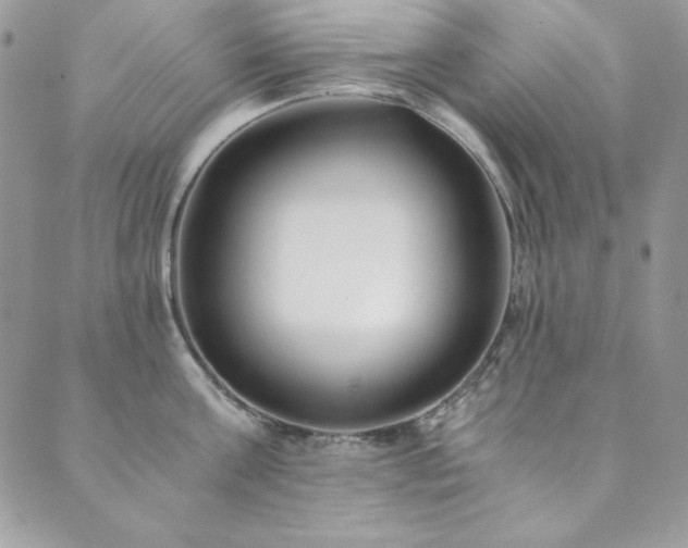 X0000089870811200706281314