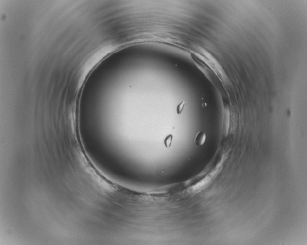 X0000089870812200706281314