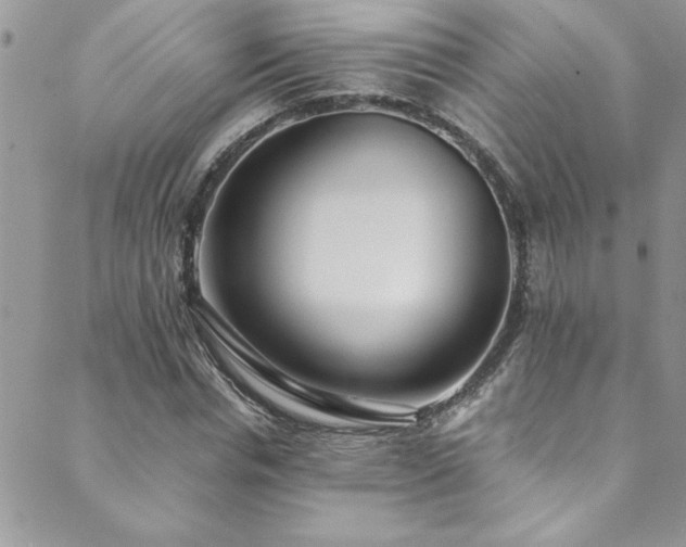 X0000089870826200706281314