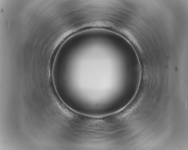 X0000089870837200706281314