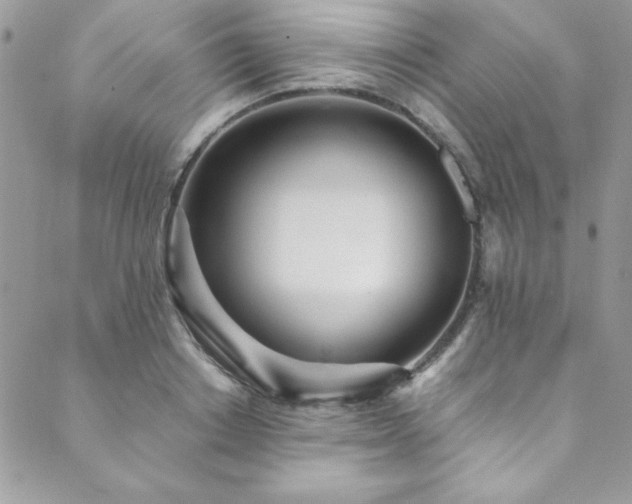 X0000089870842200706281314