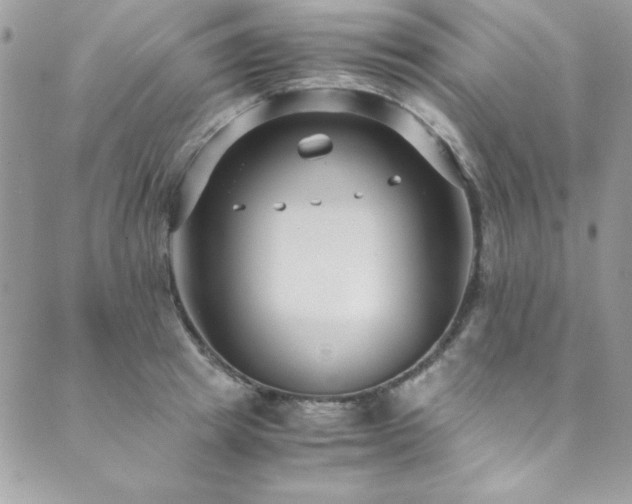X0000089870849200706281314