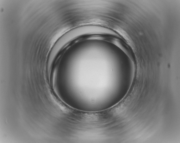 X0000089870850200706281314