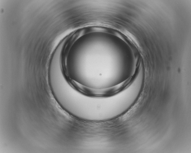X0000089870854200706281314