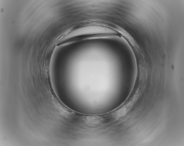 X0000089870857200706281314
