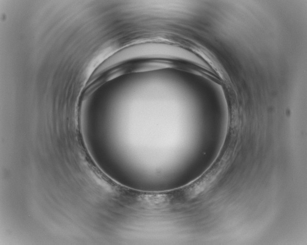 X0000089870858200706281314