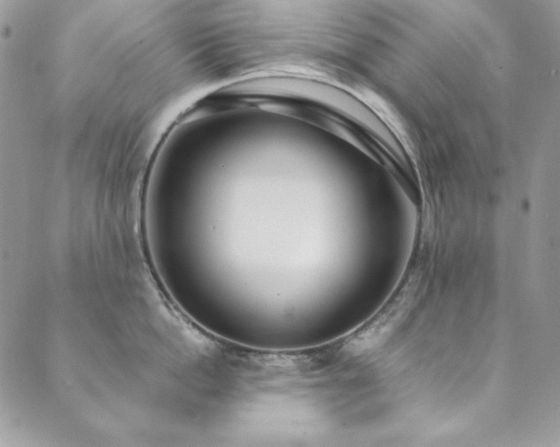 X0000089870862200706281314