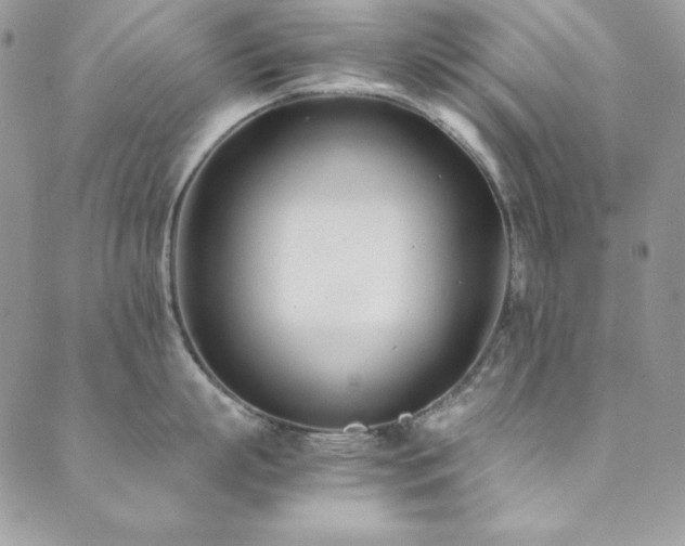 X0000089870863200706281314