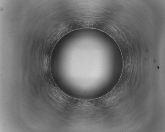 X0000089870866200706281313
