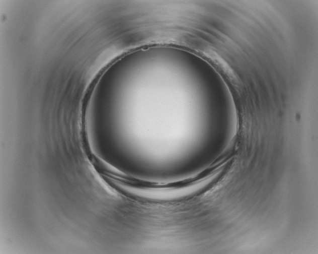 X0000089870894200706281313