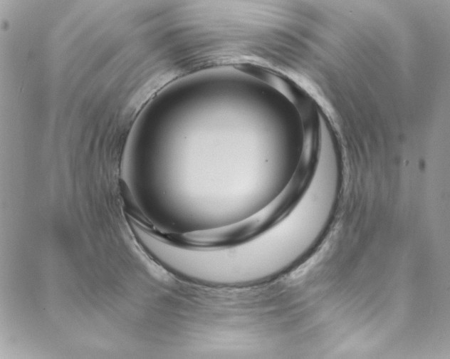 X0000089870897200706281313