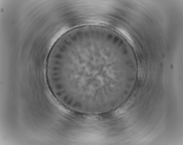 X0000089870899200706281313