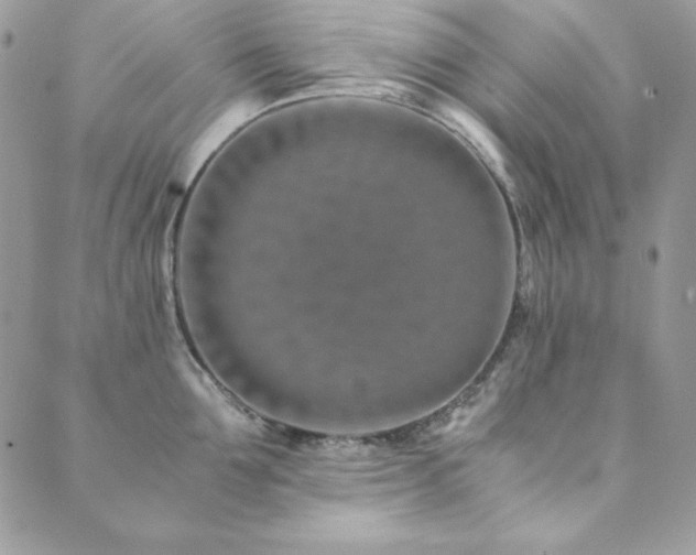 X0000089870907200706281313
