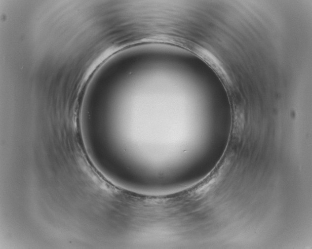 X0000089870908200706281313