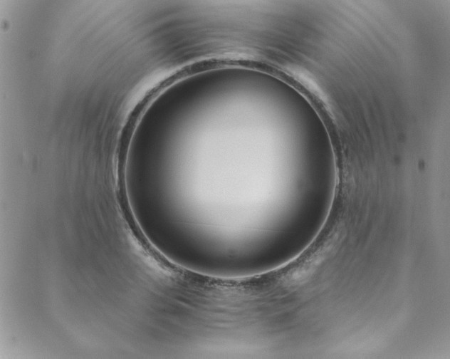 X0000089870935200706281312