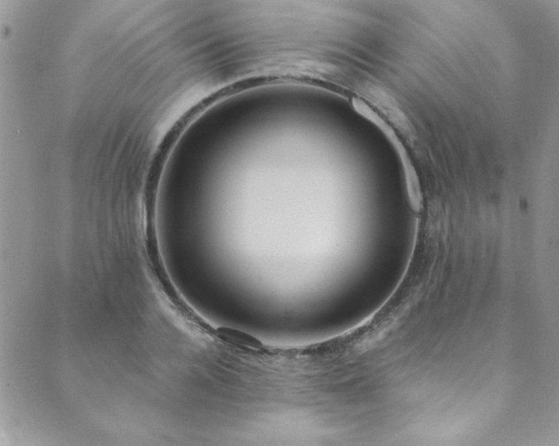 X0000089870936200706281312