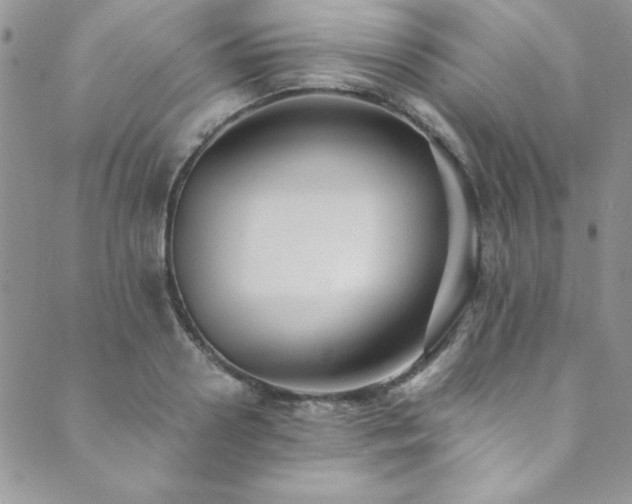 X0000089870938200706281312