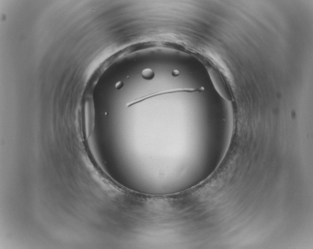 X0000089870944200706281312