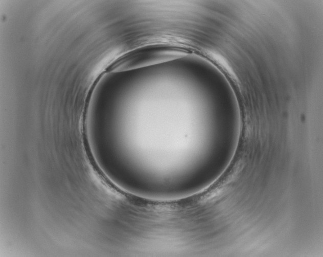 X0000089870946200706281312
