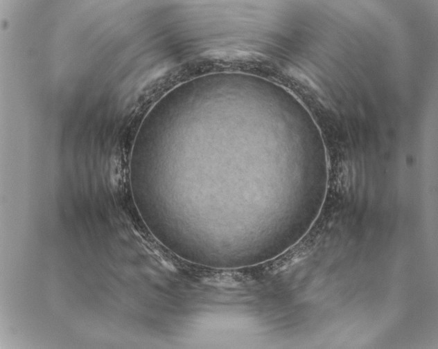X0000089870966200706281312