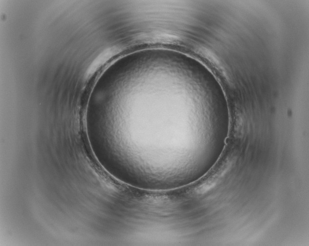 X0000089870978200706281312
