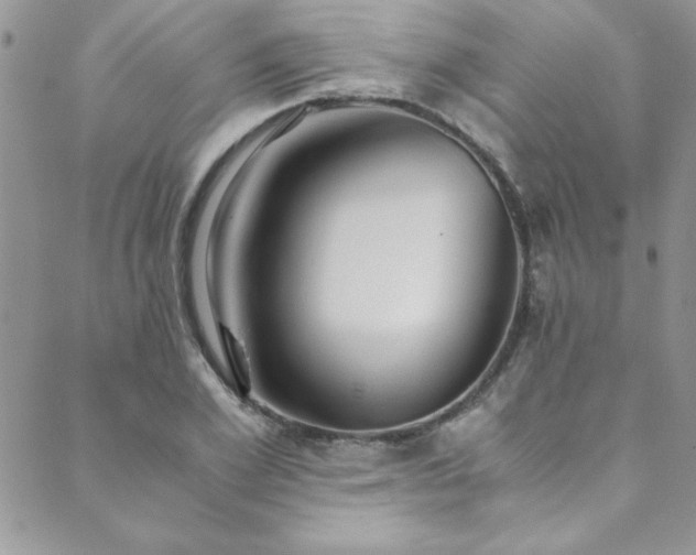 X0000089870981200706281312