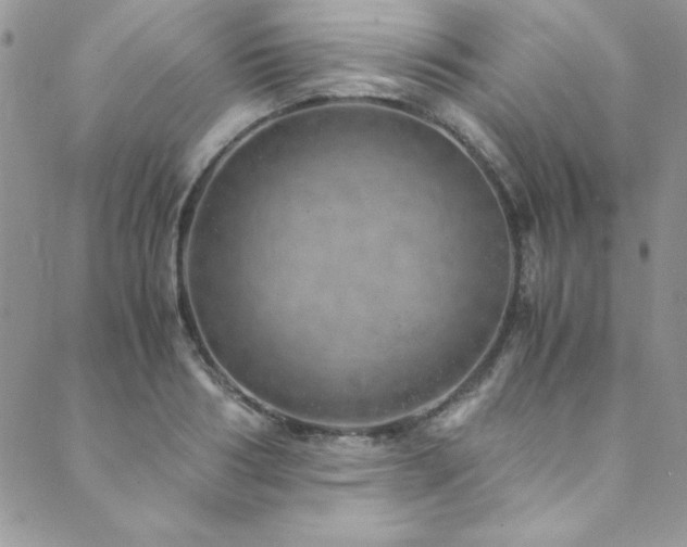 X0000089870986200706281311