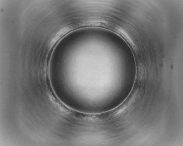 X0000089870994200706281311