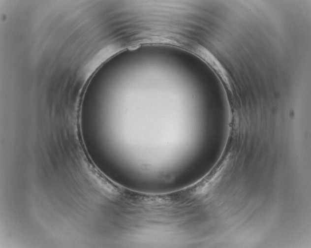 X0000089871002200706281311