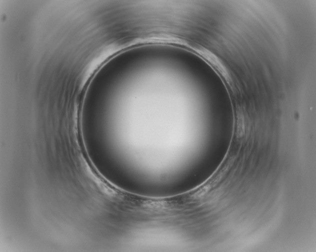 X0000089871006200706281311