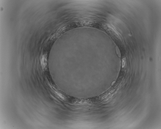 X0000089871011200706281310