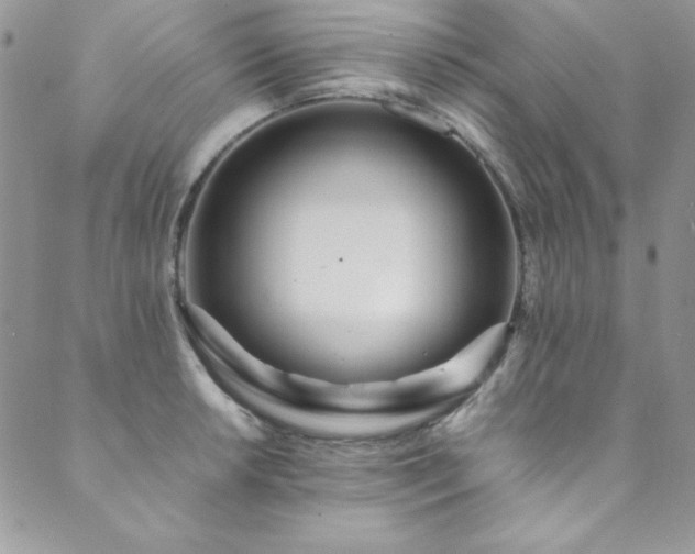 X0000089871042200706281311