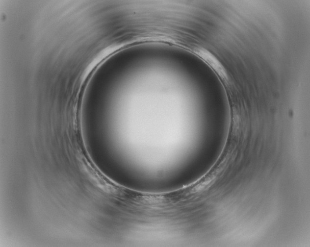 X0000089871052200706281311