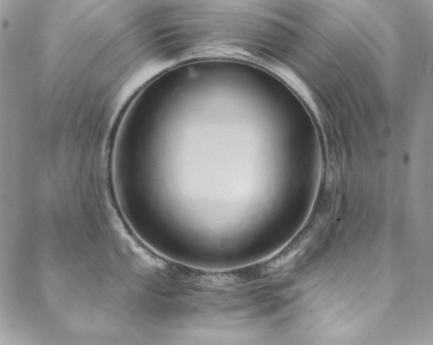 X0000089871053200706281311