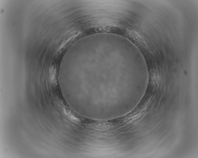 X0000089871060200706281310