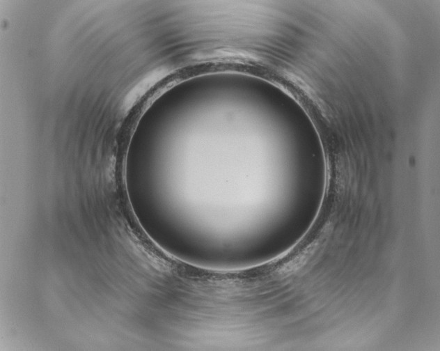 X0000089871066200706281310