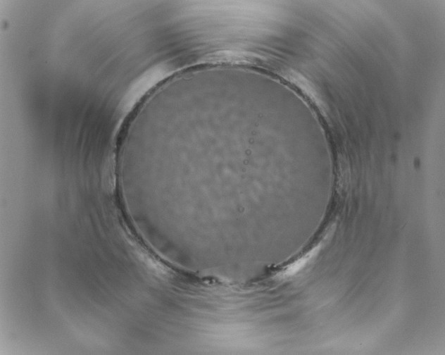 X0000089871075200706281310