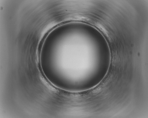 X0000089871080200706281310