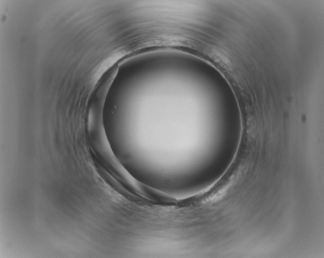 X0000089871081200706281310