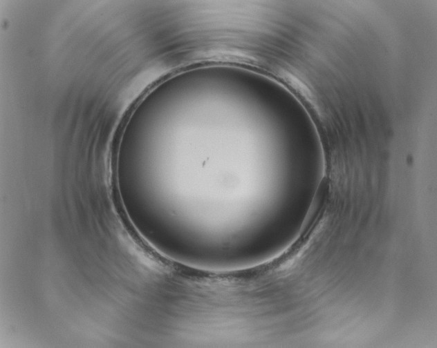 X0000089871082200706281310