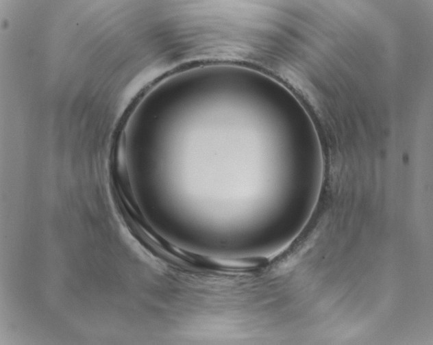 X0000089871085200706281310