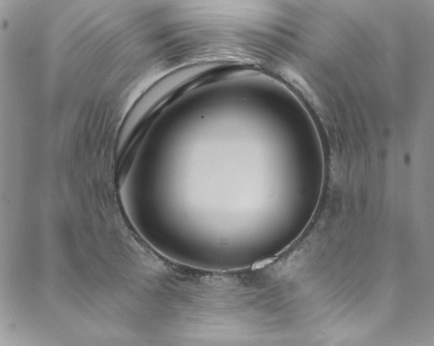 X0000089871089200706281310