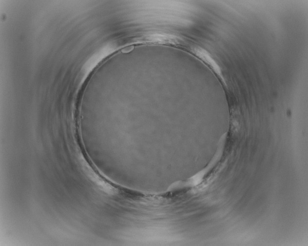 X0000089871091200706281310