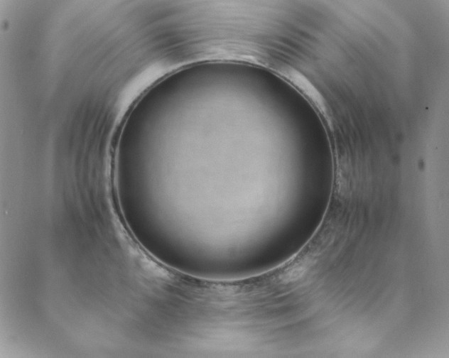 X0000089871096200706281310