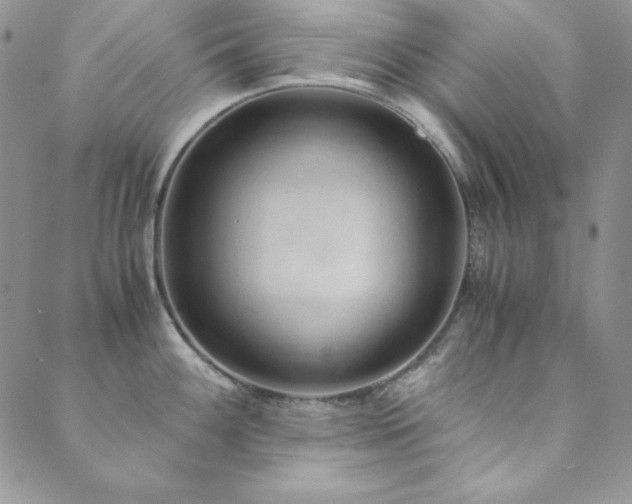 X0000089871100200706281310
